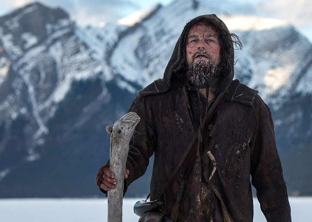 #9. The Revenant (2015)